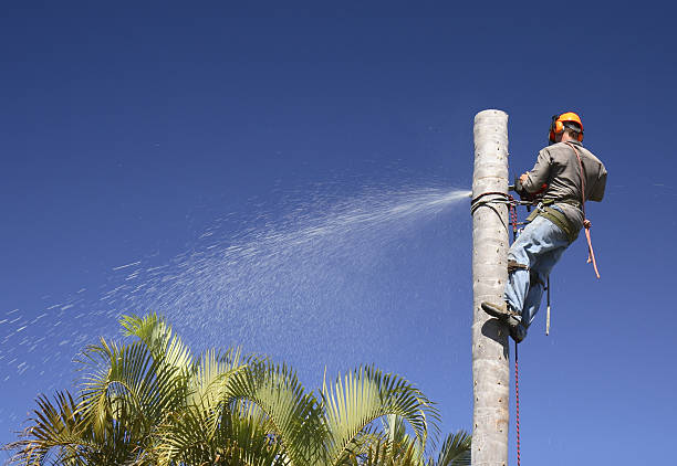 Pest Control for Lawns in Southwest Ranches, FL